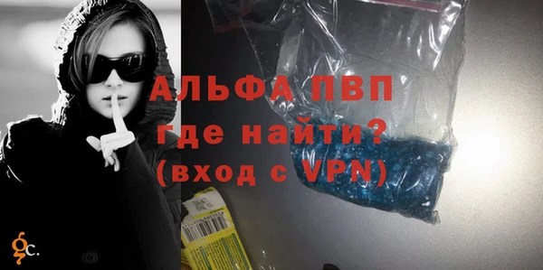 молекула духа Арсеньев