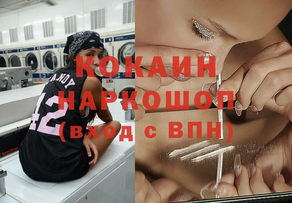 молекула духа Арсеньев