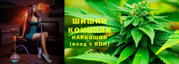 молекула духа Арсеньев