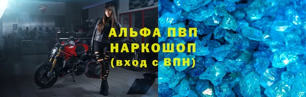 СК Балахна